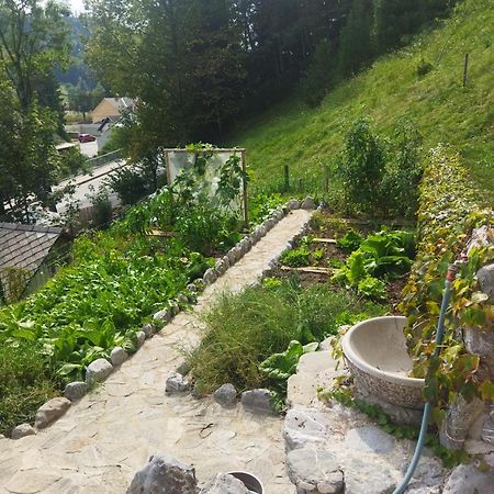 Natur Apartma Rudi Begunje na Gorenjskem Eksteriør bilde